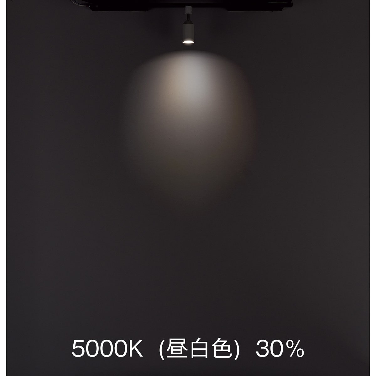 調光調色スマートスポットライト〔ストエキオリジナル〕 本体[リモコン付き]