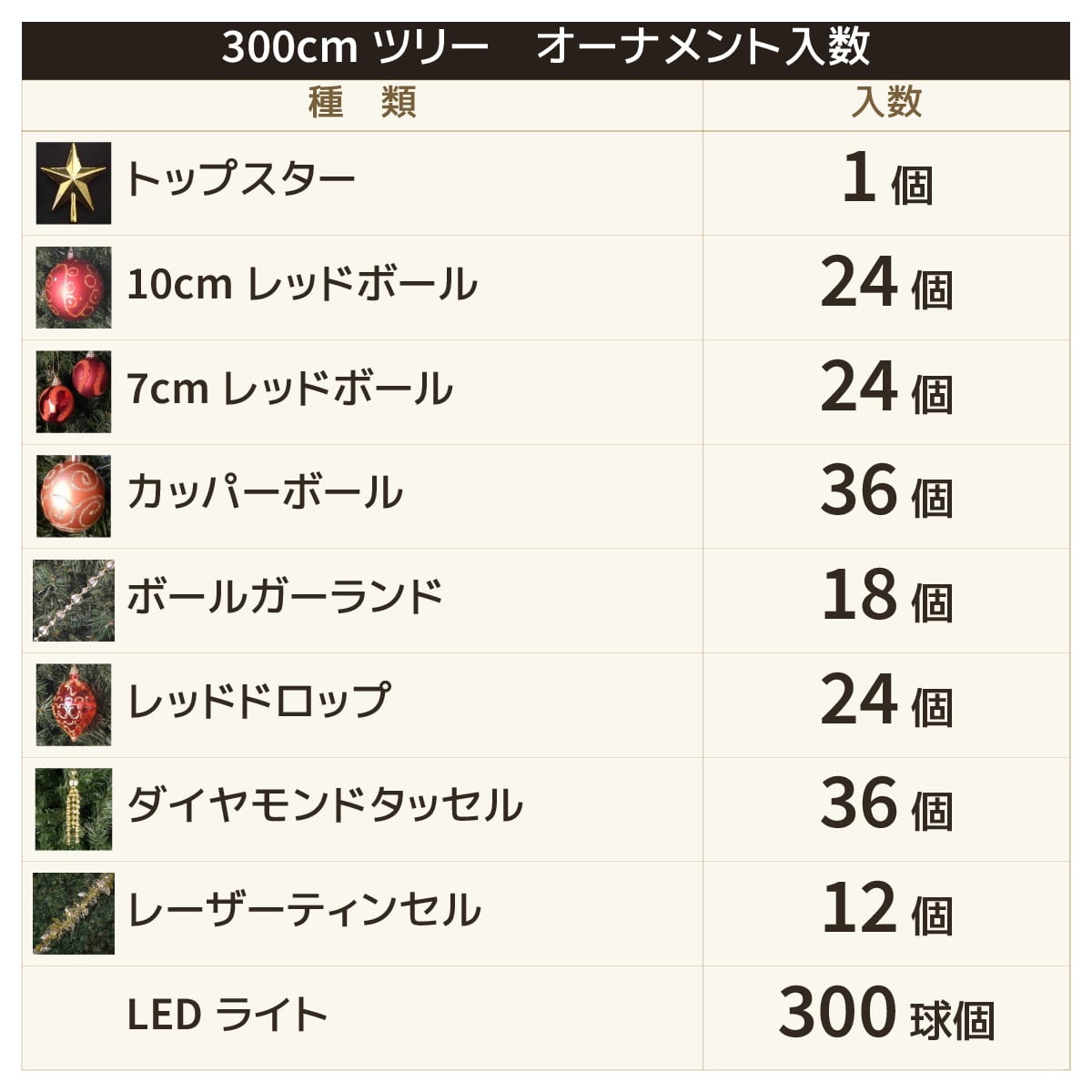 (5)高さ300×幅160cm