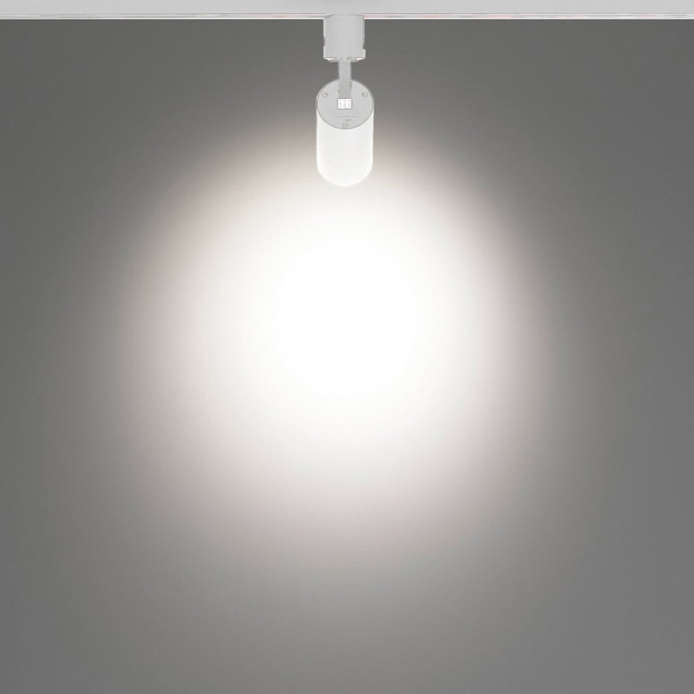 (5)調色ホワイト