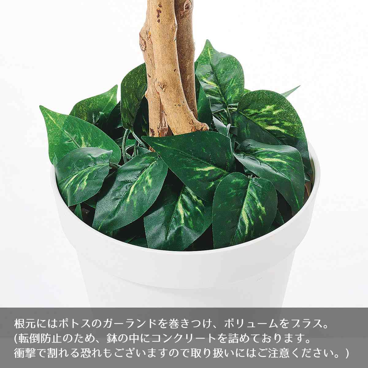 マホニアコンフューサ(人工樹木)〔ストエキオリジナル〕
