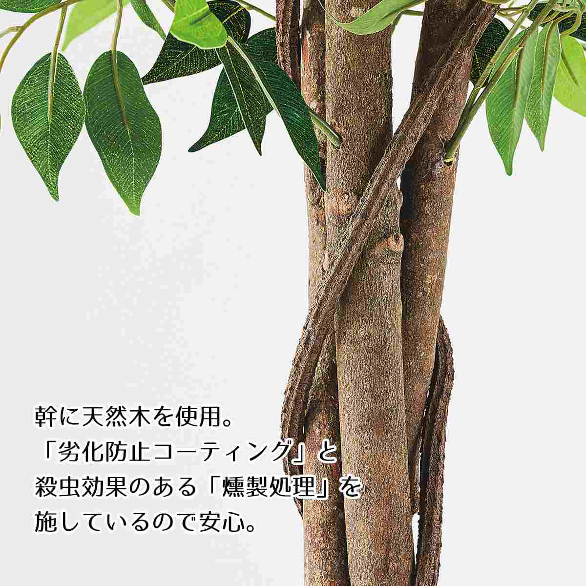 フィカス(人工樹木)〔ストエキオリジナル〕