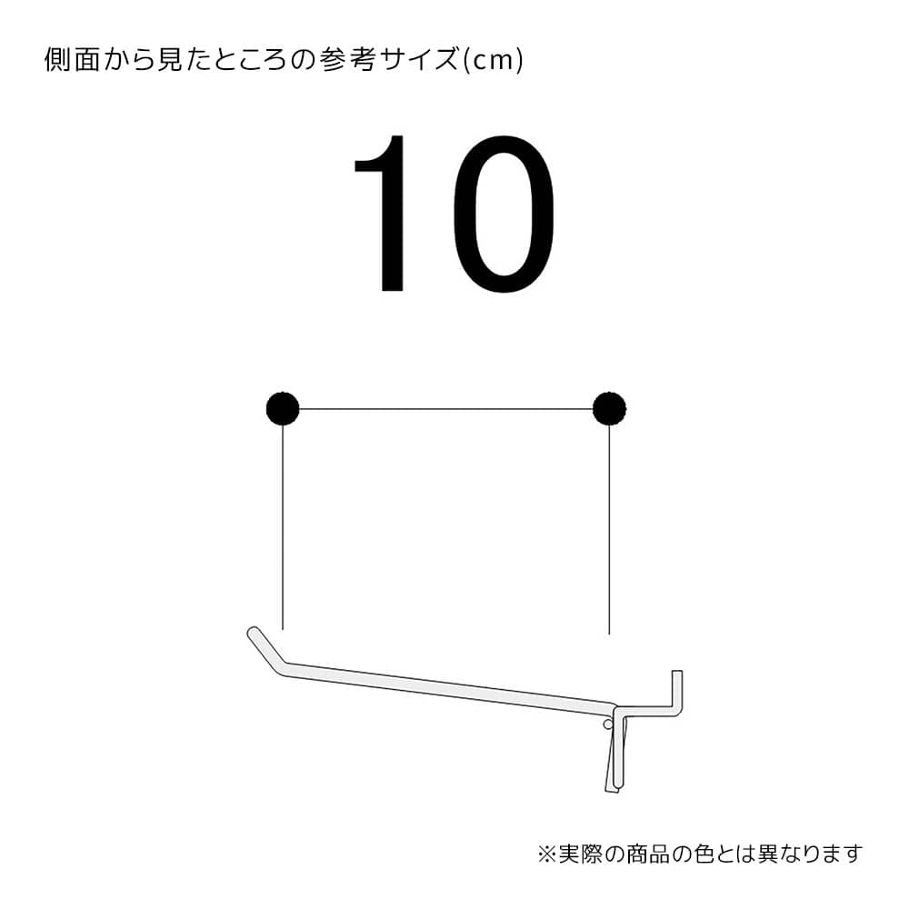(3)L10cm