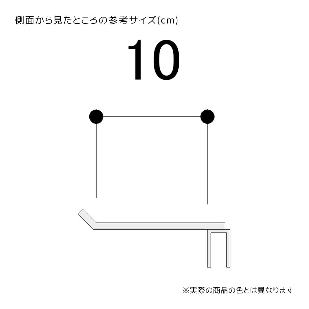 (2)L10cm