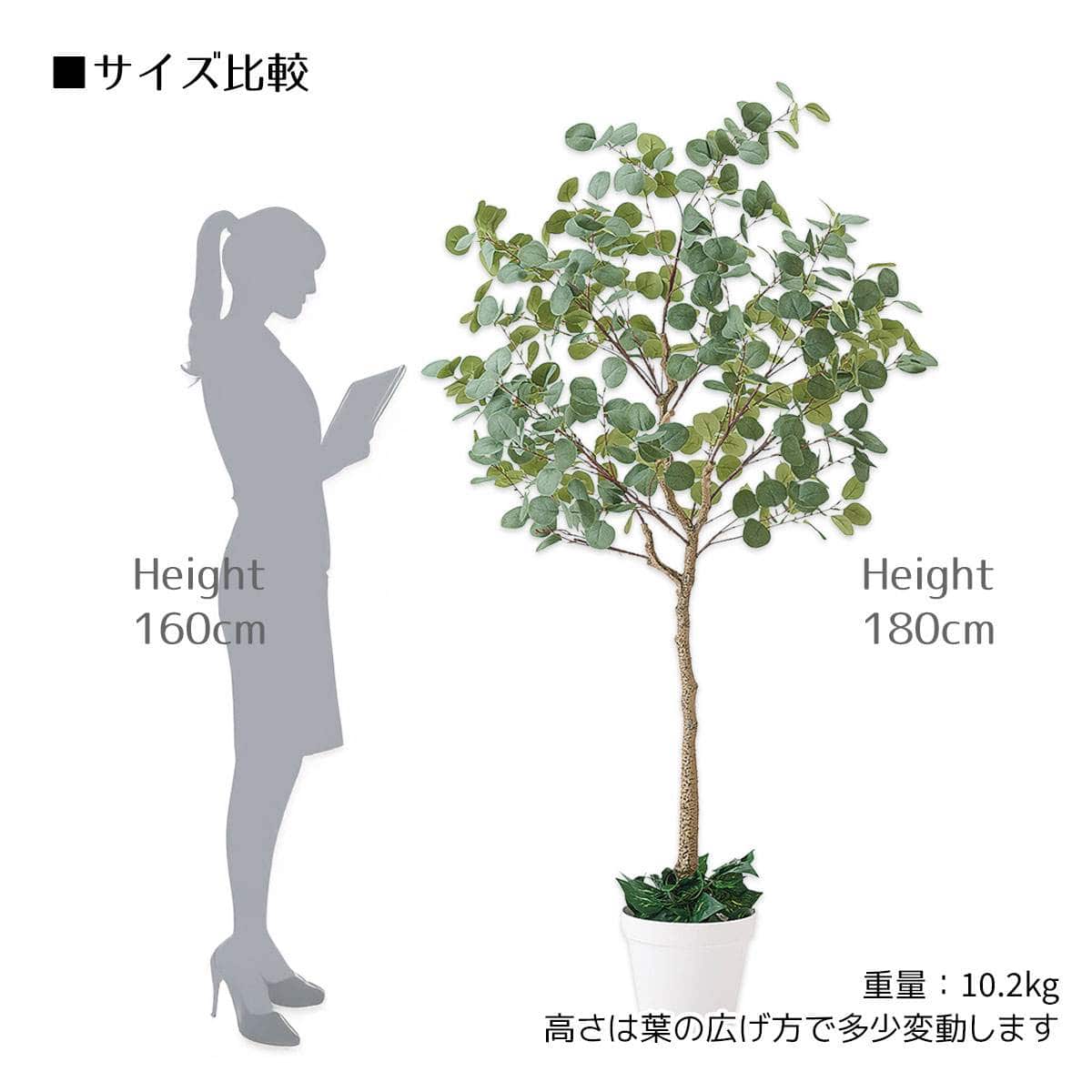 ユーカリ(人工樹木)〔ストエキオリジナル〕