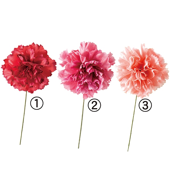 公式 通販ストア エキスプレス カーネーションフルリール 10本セット 母の日 ピンク 袋 ラッピング 梱包資材