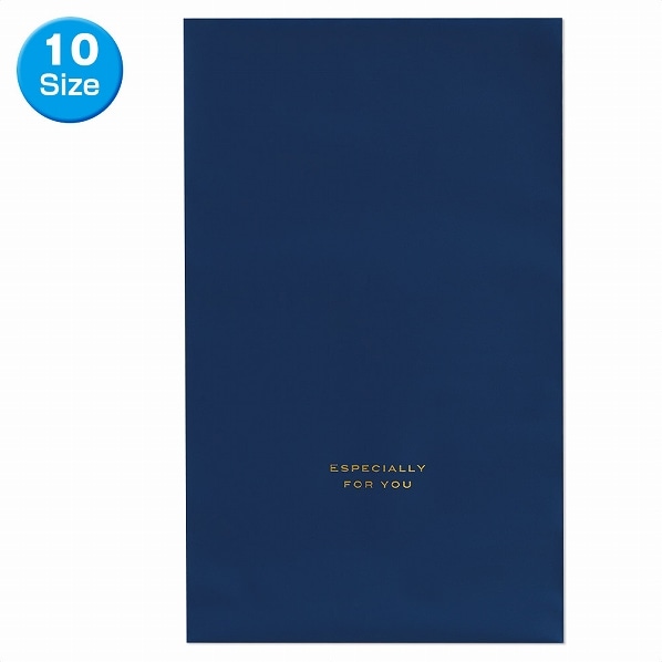 公式 通販ストア エキスプレス 梨地ギフトバッグ ネイビー クリスマス向け 8 30 袋 ラッピング 梱包資材