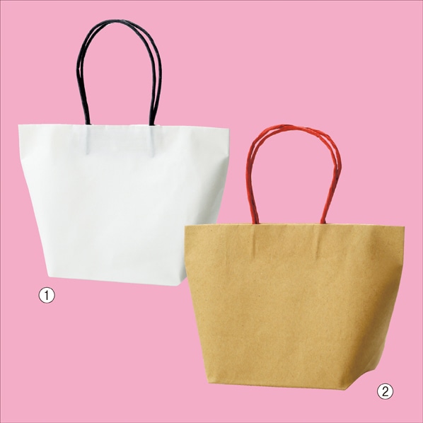 紙袋 プチバッグ 舟形 通販 ストア エキスプレス