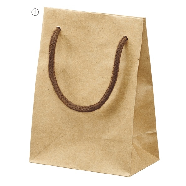 カラー手提げ紙袋 小 クラフト 通販 ストア エキスプレス