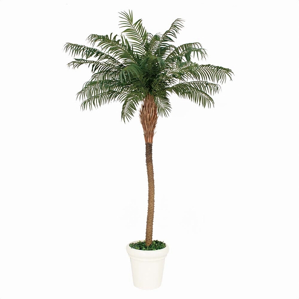ヤシ フェニックス パームツリー 椰子の木 造花 植木鉢付き 光触媒