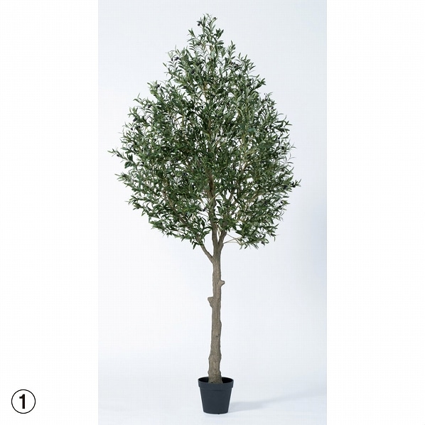 オリーブ ポット付 人工観葉植物 フェイクグリーン 通販 ストア エキスプレス オリーブ ポット付 人工観葉植物 フェイクグリーン 通販 ストア エキスプレス