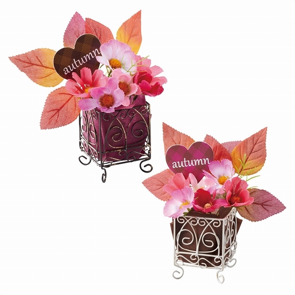 ハートコスモスキューブポット 2個 秋 ディスプレイ 通販 ストア エキスプレス