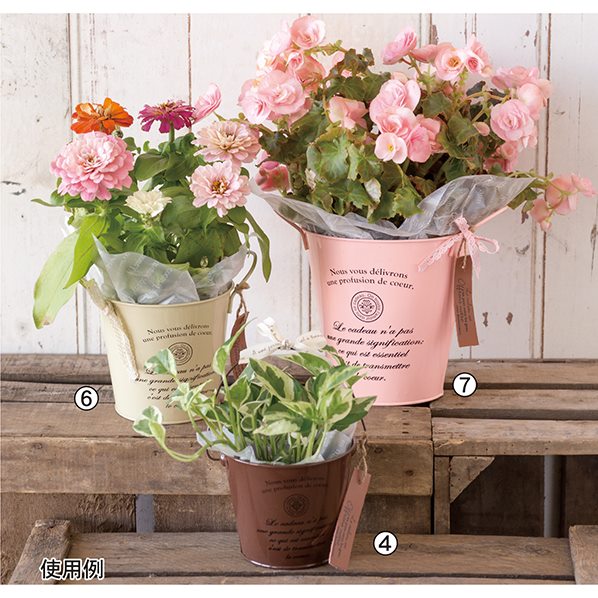 6個 カンパーニュブリキバケツ 6個 カンパーニュブリキバケツ