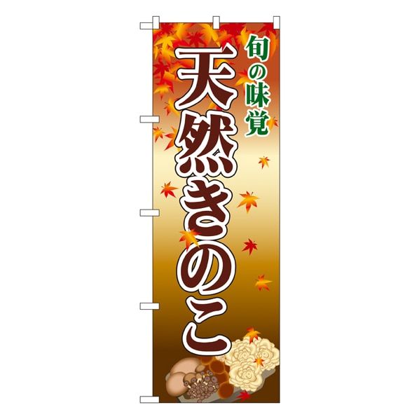 天然きのこ のぼり 通販 ストア エキスプレス 天然きのこ のぼり 通販 ストア エキスプレス