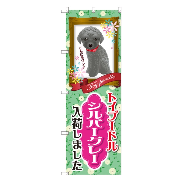 トイプードル シルバーグレー 入荷 通販 ストア エキスプレス