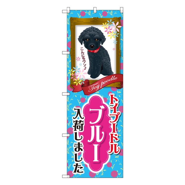 トイプードル ブルー 入荷 のぼり 通販 ストア エキスプレス トイプードル ブルー 入荷 のぼり 通販 ストア エキスプレス