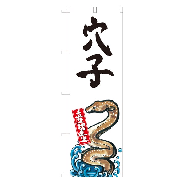 穴子 産地直送 白 通販 ストア エキスプレス