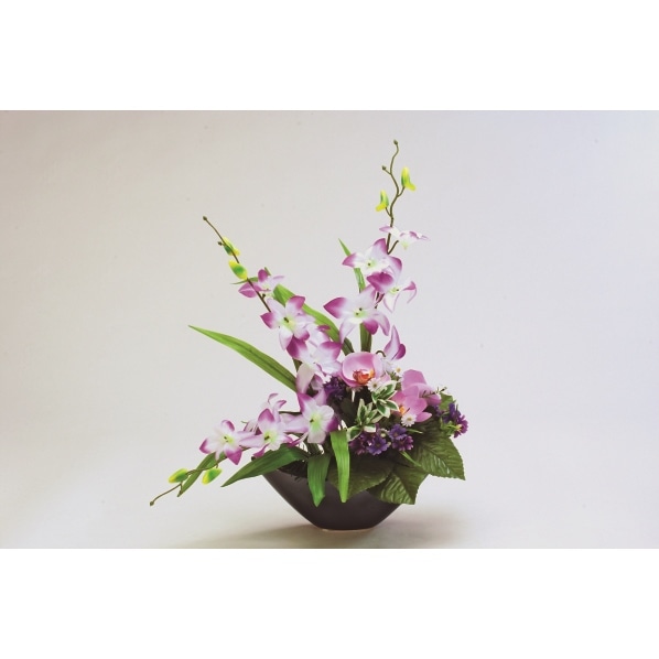 デンファレ オーキッド アレンジ 通販 ストア エキスプレス