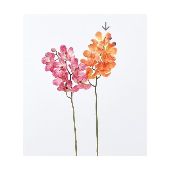 造花 デンファレ 通販 ストア エキスプレス