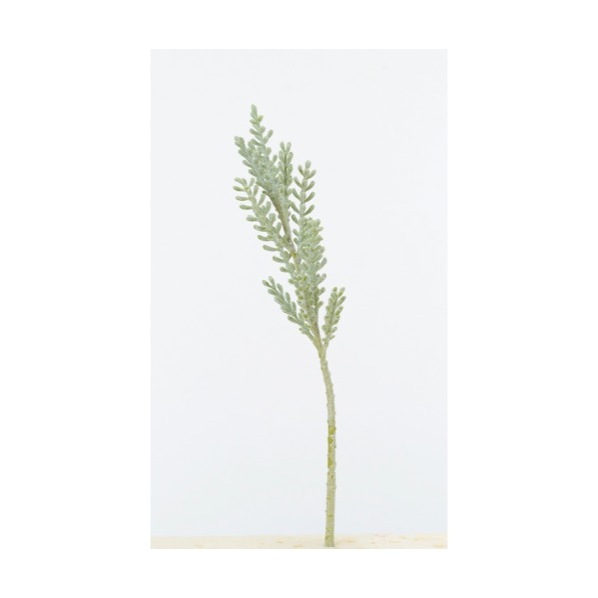 公式 通販ストア エキスプレス 造花 コキア フロストグリ ン 店舗運営用品