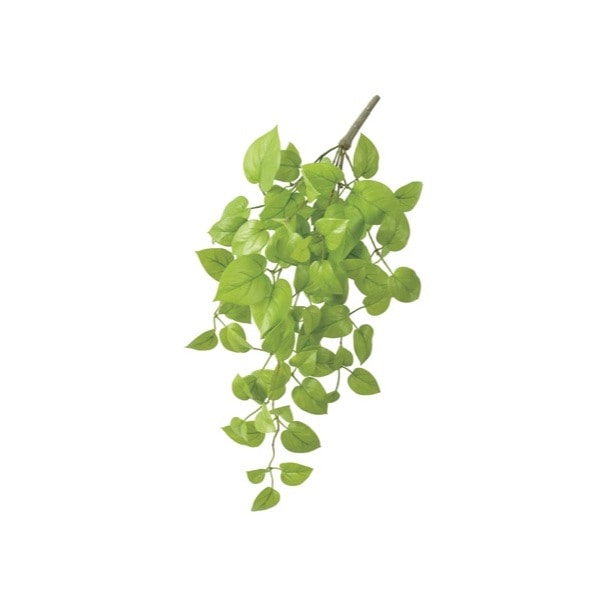 公式 通販ストア エキスプレス 造花 ポトスハンギングブッシュ ライトグリ ン 店舗運営用品
