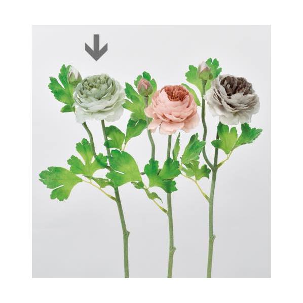 ラナンキュラスx1 つぼみx1 通販 ストア エキスプレス