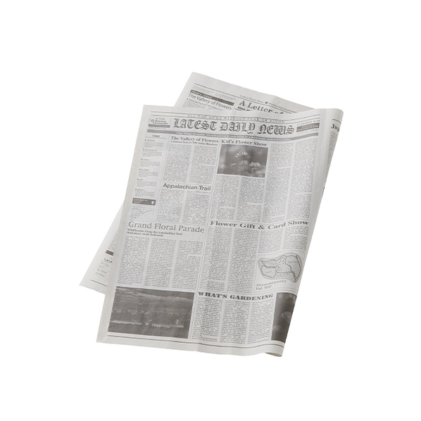 英字新聞紙