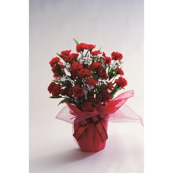 母の日フラワーアレンジメント 通販 ストア エキスプレス