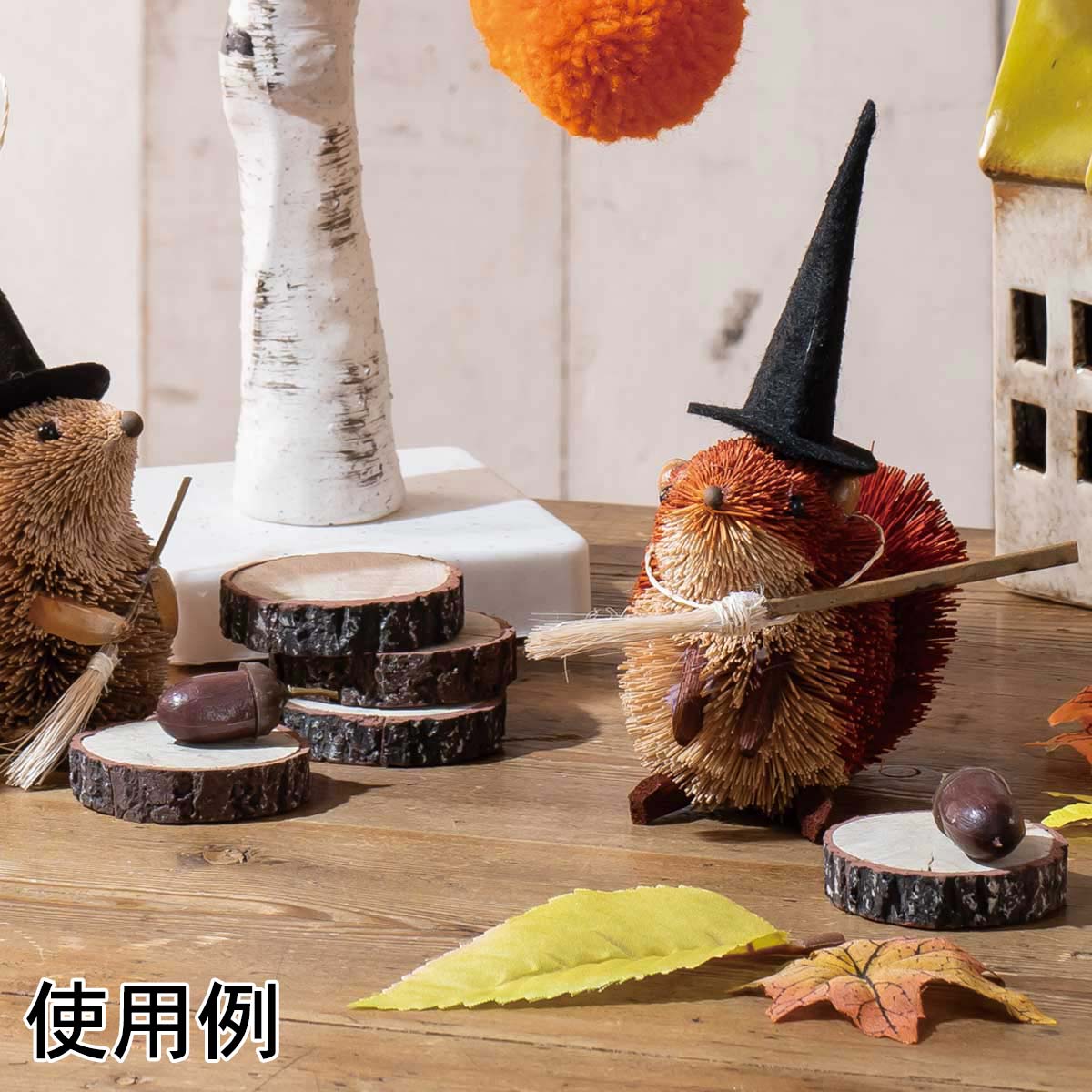 ウッドプレートセット 直径5cm 直径7 3cm 秋装飾 ディスプレイ 置物 雑貨 通販 ストア エキスプレス