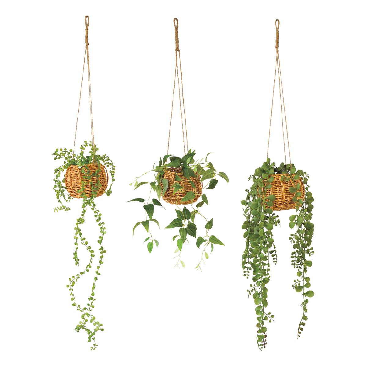 ハンギング グリーンバスケット ビーンバイン