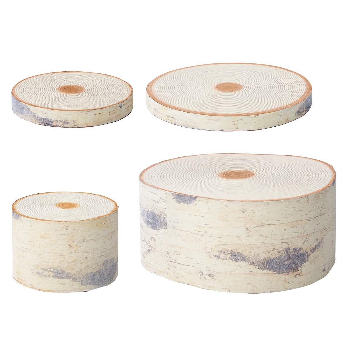 切り株オブジェ 白樺 直径18×高さ2.5cm