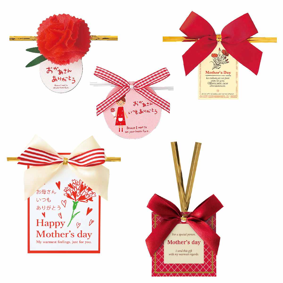 10個 ワイヤータイ 母の日 カーネーション