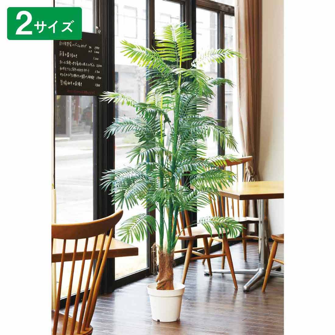 ※画像は(1)H180cm 使用例です。