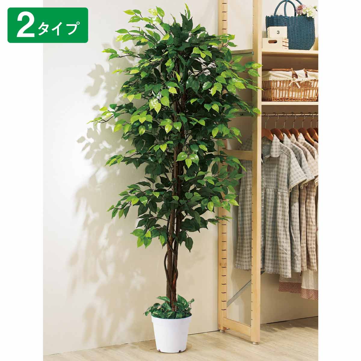 ※画像(1)ベンジャミングリーン 使用例です。