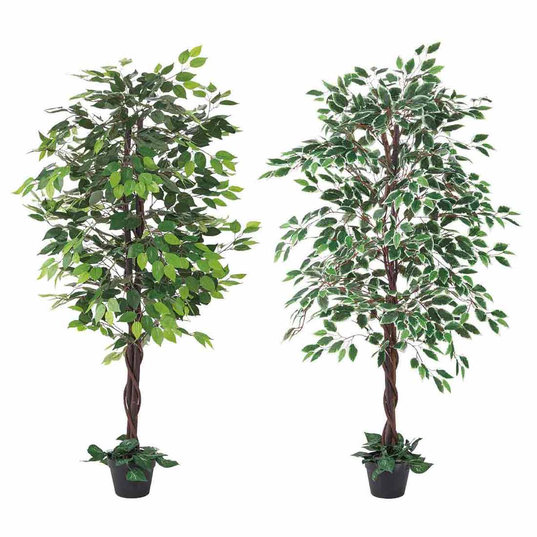 人工樹木ベンジャミン 150cm［ストエキオリジナル］ ベンジャミングリーン