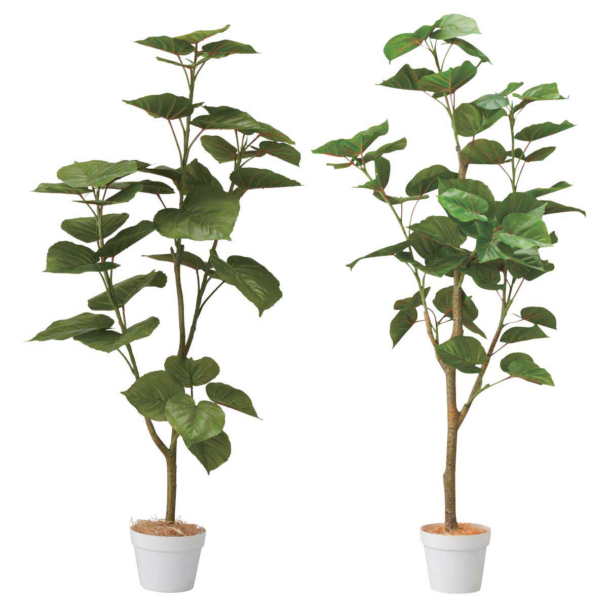 人工樹木フィカスウンベラータ 高さ130cm