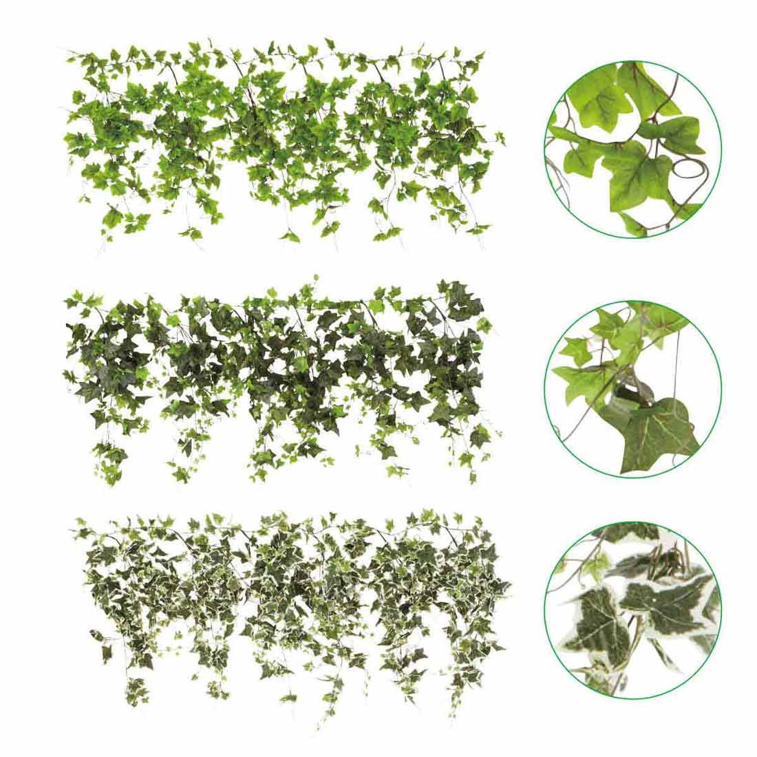 グリーンシダレガーランド［ストエキオリジナル］ グレープ