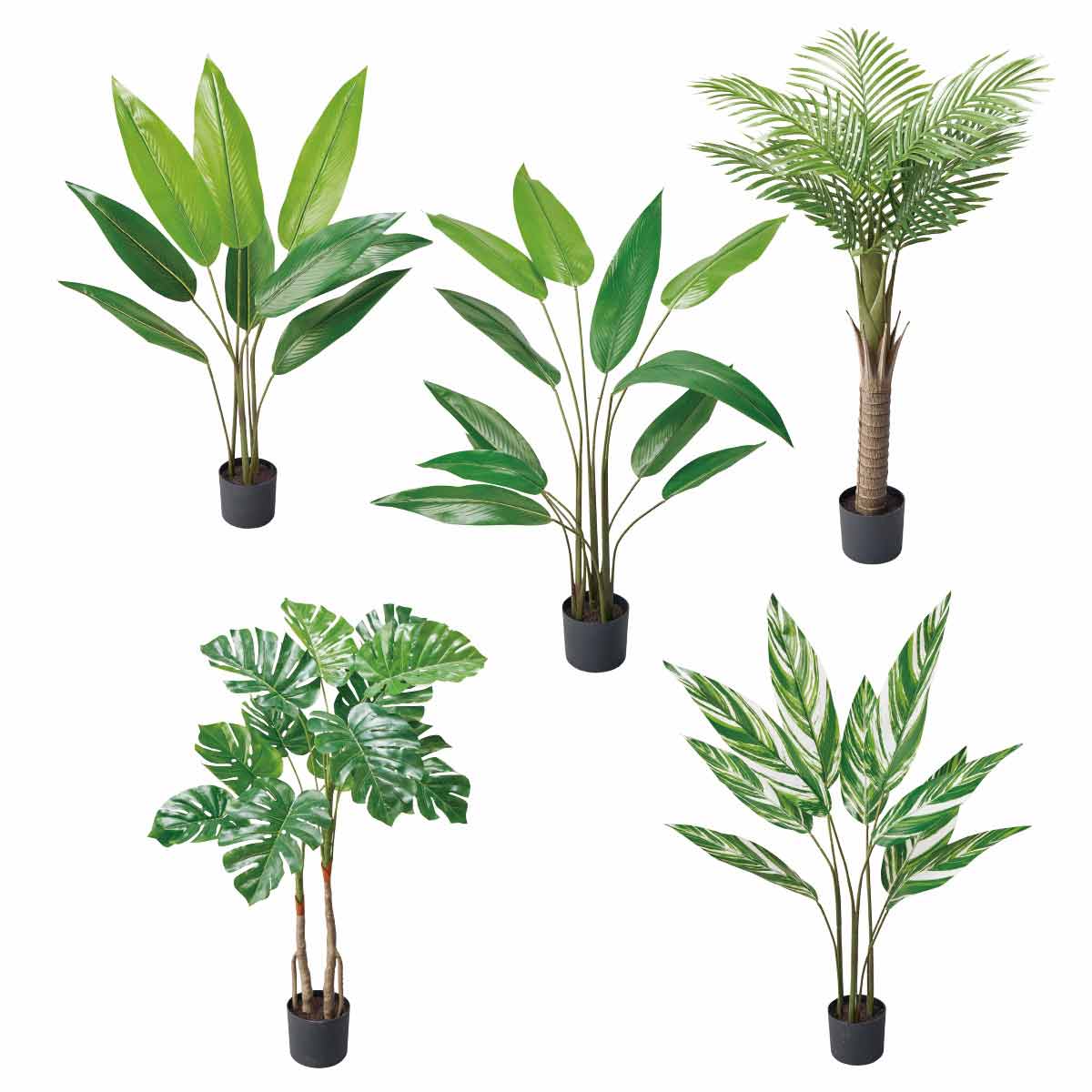 人工樹木 ストレリチア 高さ120cm