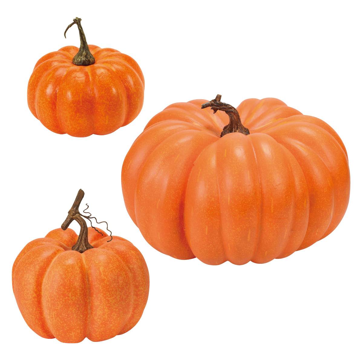 ビッグパンプキン 小