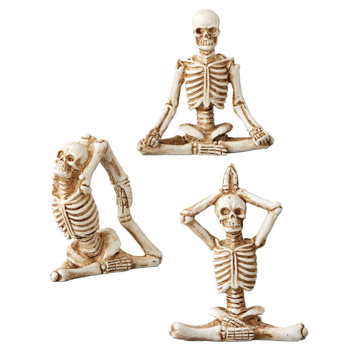 ヨガイコツ ミニ 鳩のポーズ