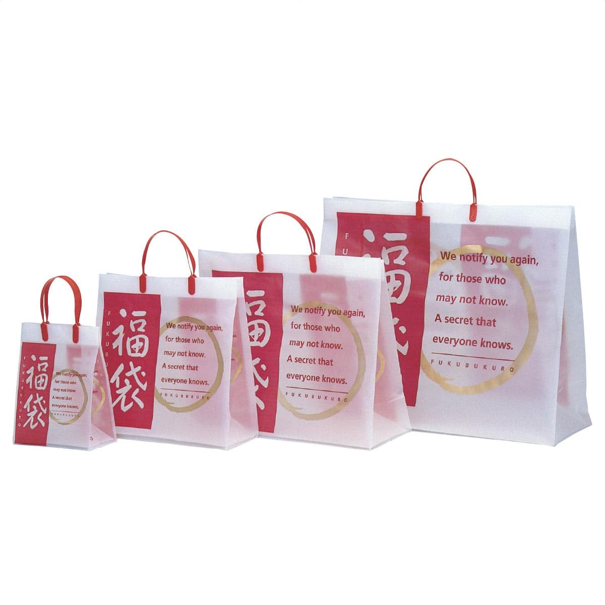 福袋 フロストバッグ 幅20×奥行10×高さ25cm