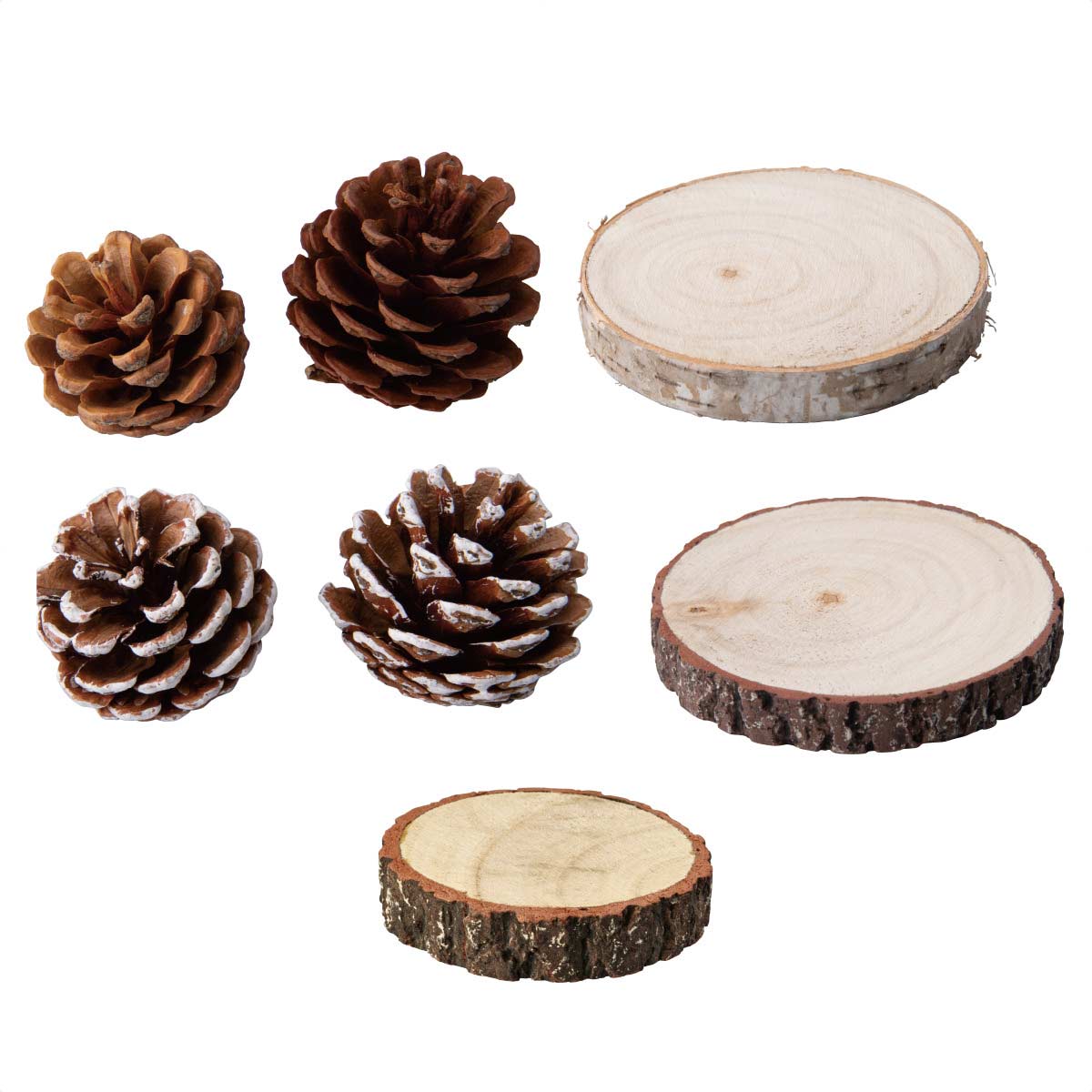 ナチュラルパーツセット ナチュラル松かさ