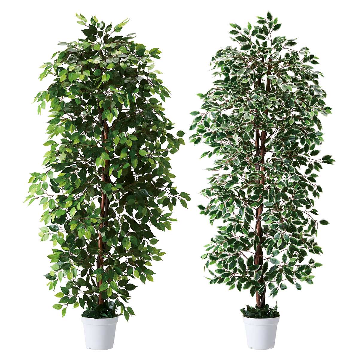 立ち木 人工樹木 210cm ストエキオリジナル