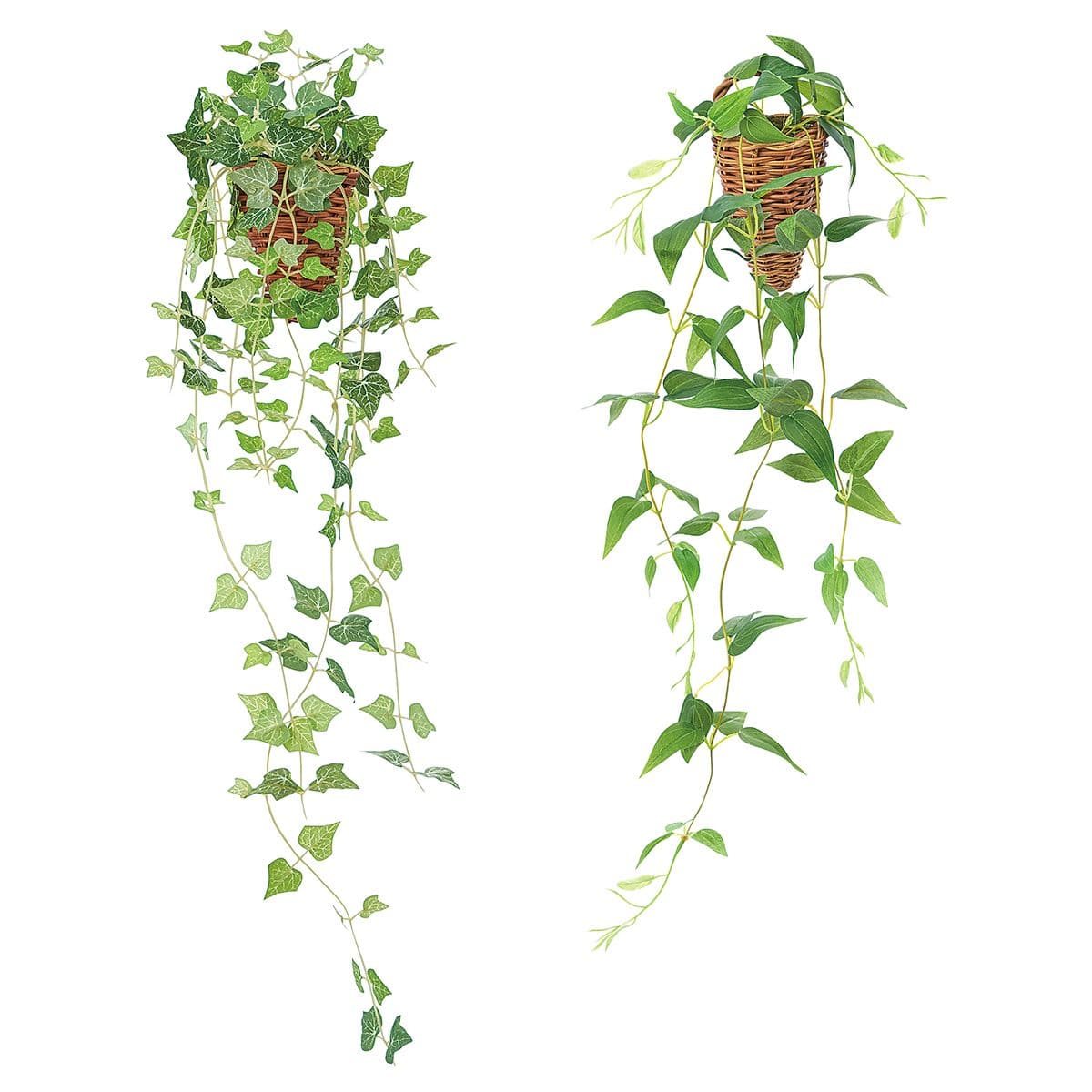 グリーン壁掛け アイビー