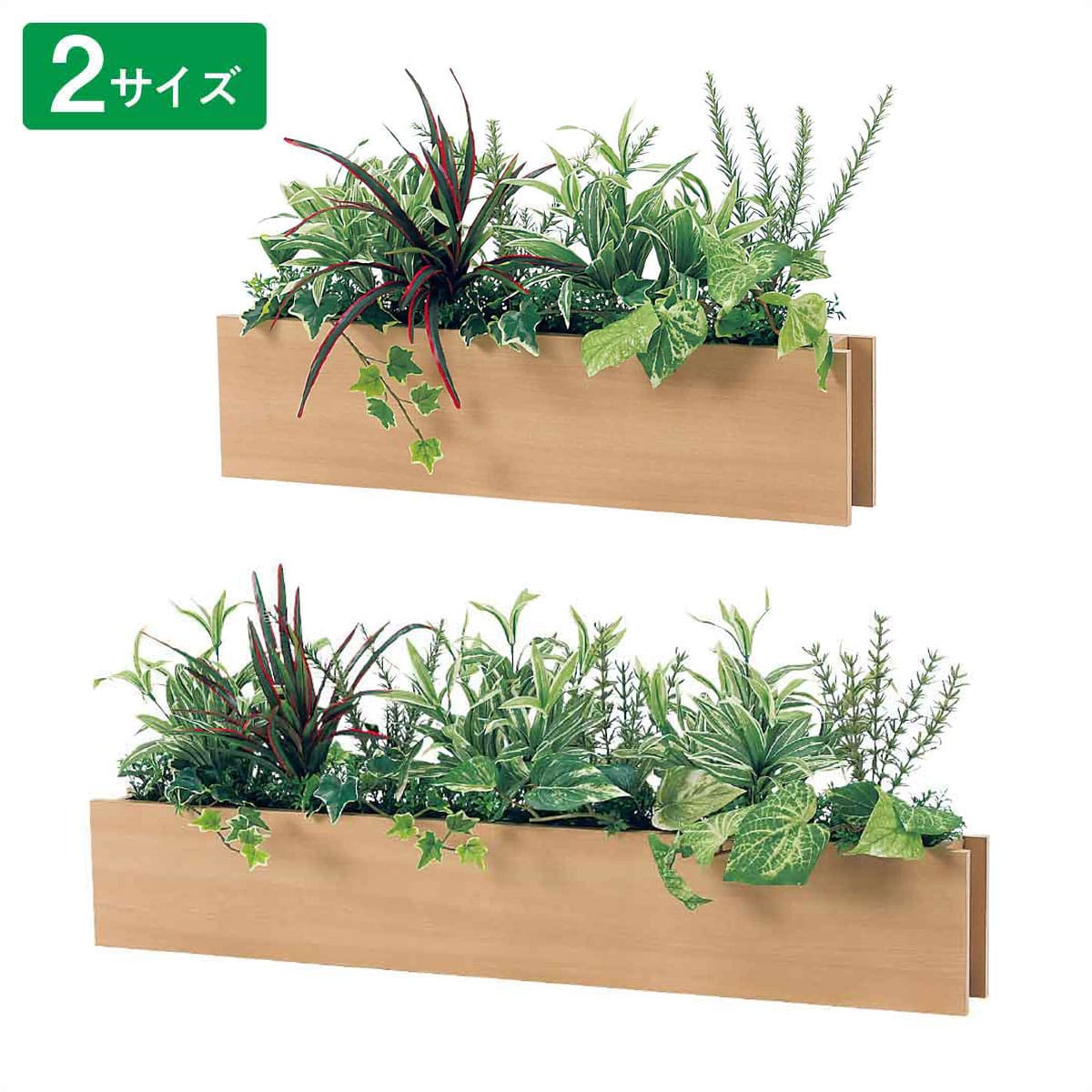 卓上グリーンポット ミックス 幅60cm