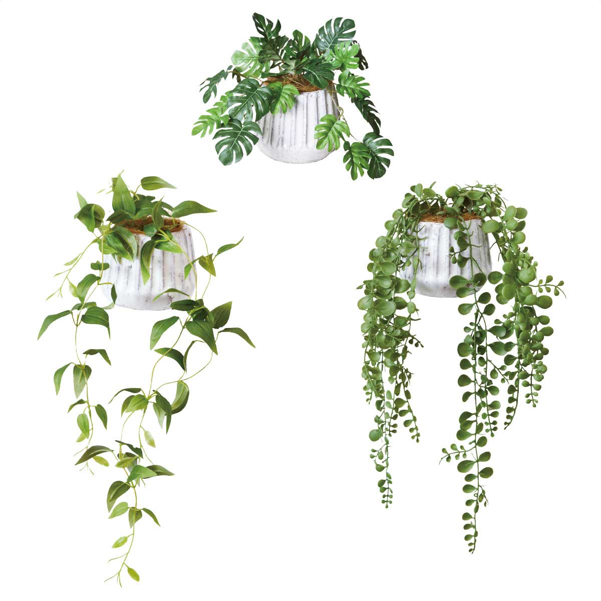 ナビールポットS (フェイクグリーン) ヒメモンステラ