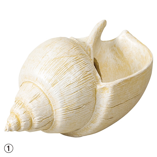 ソリッドオブジェ 夏 マリン ディスプレイ 装飾 置物 貝殻 通販 ストア エキスプレス