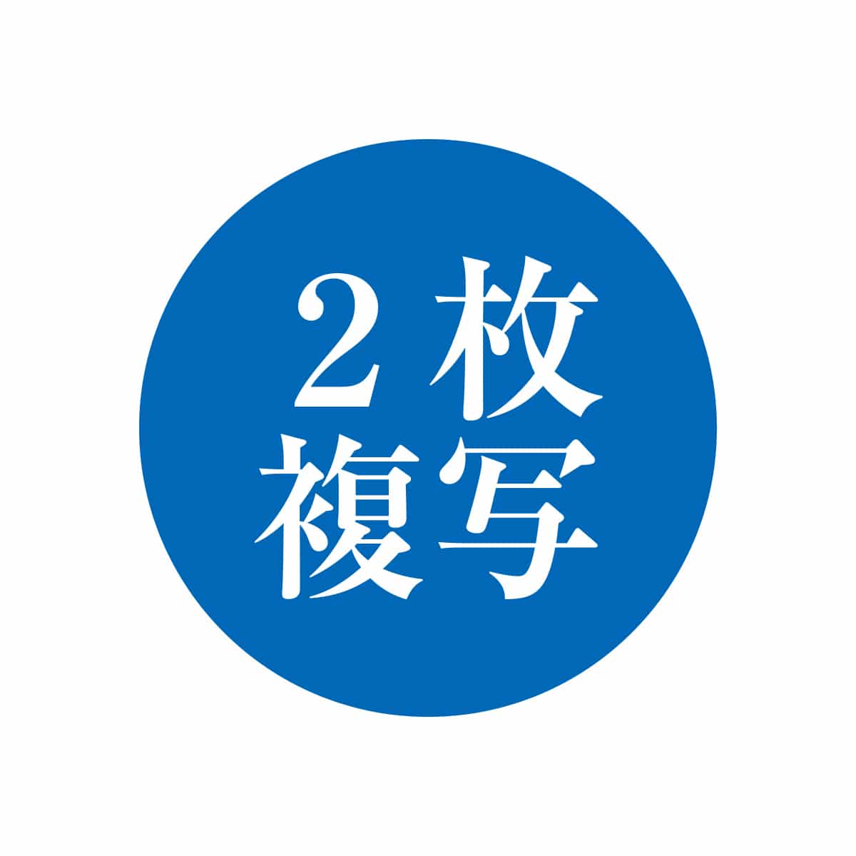 【10冊】複式お会計伝票 S-20A