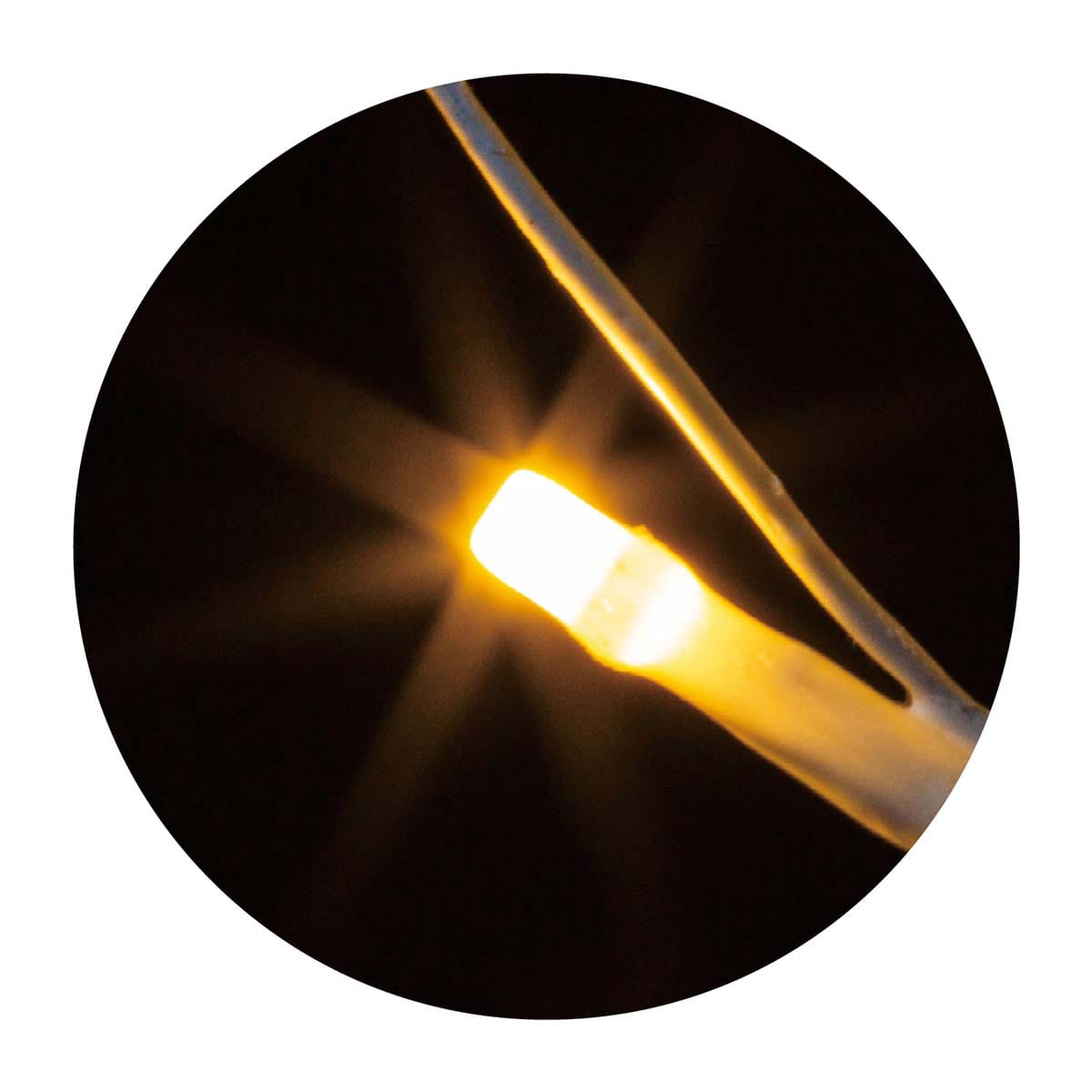 ライト部アップ