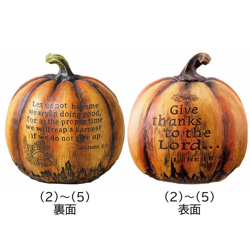 パンプキンオブジェ〔ストエキオリジナル〕 SS