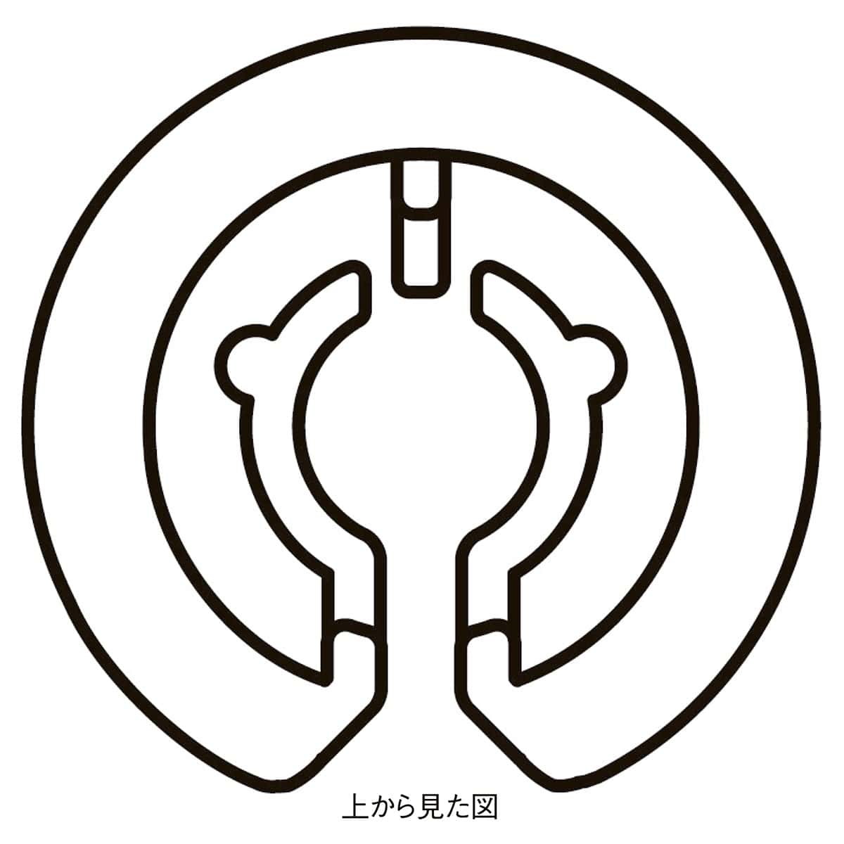 【50個】サイズチップ スリムタイプ スケルトン S